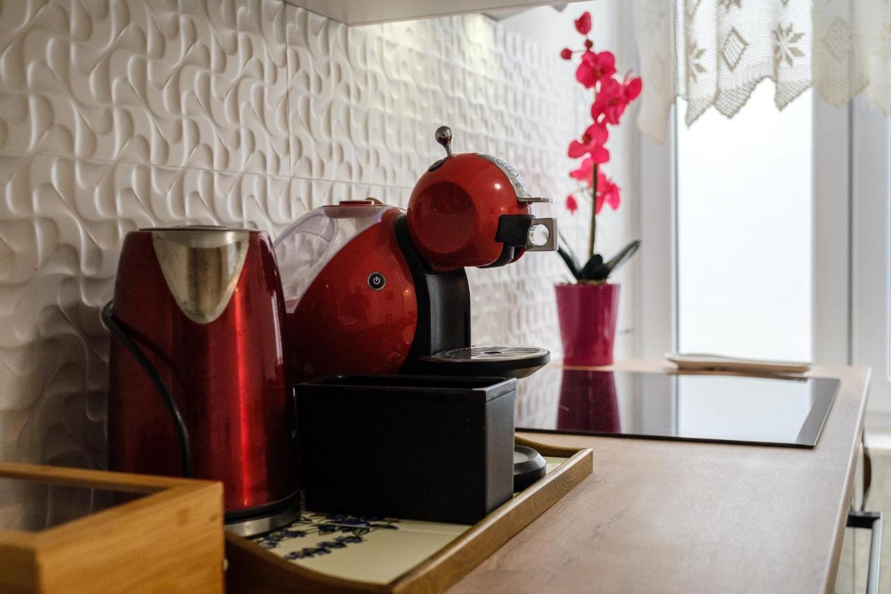 Apartment Bird Lamp Luxury Bacvice, Split