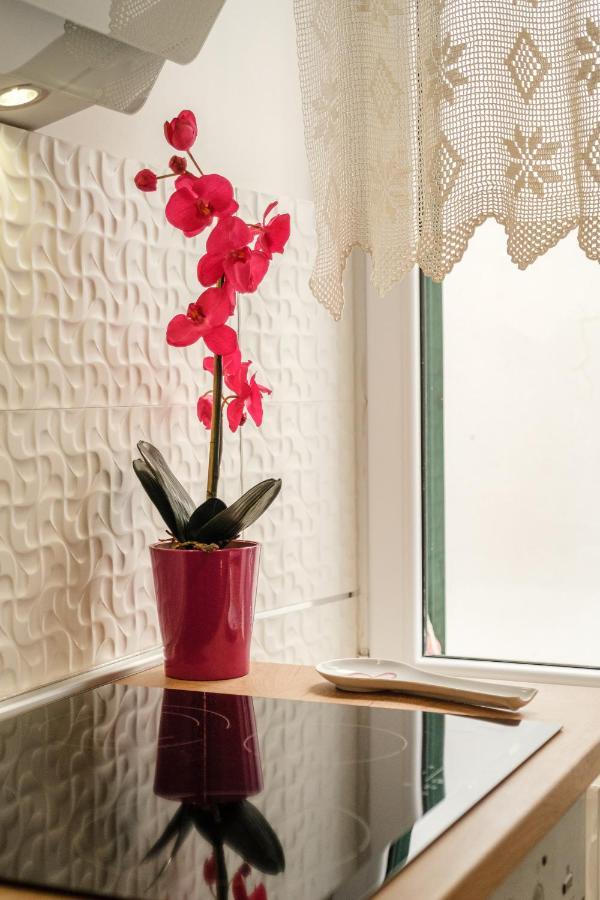 Bird Lamp Luxury Bacvice, Apartment