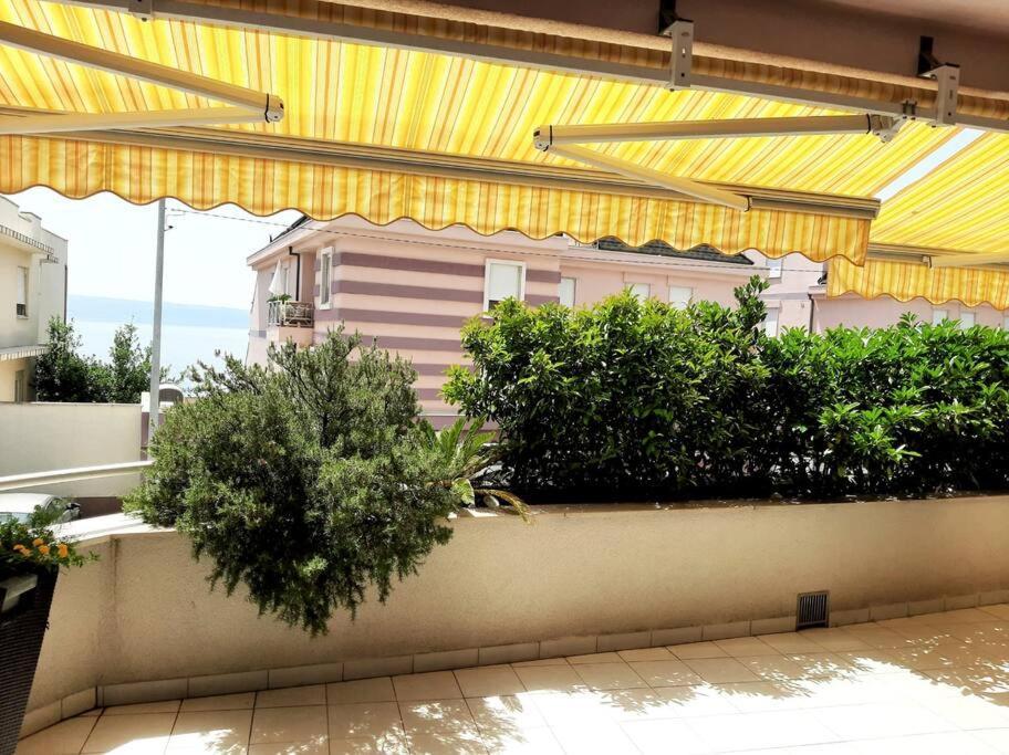 Apartment Beautiful Magnolia-near The Sea