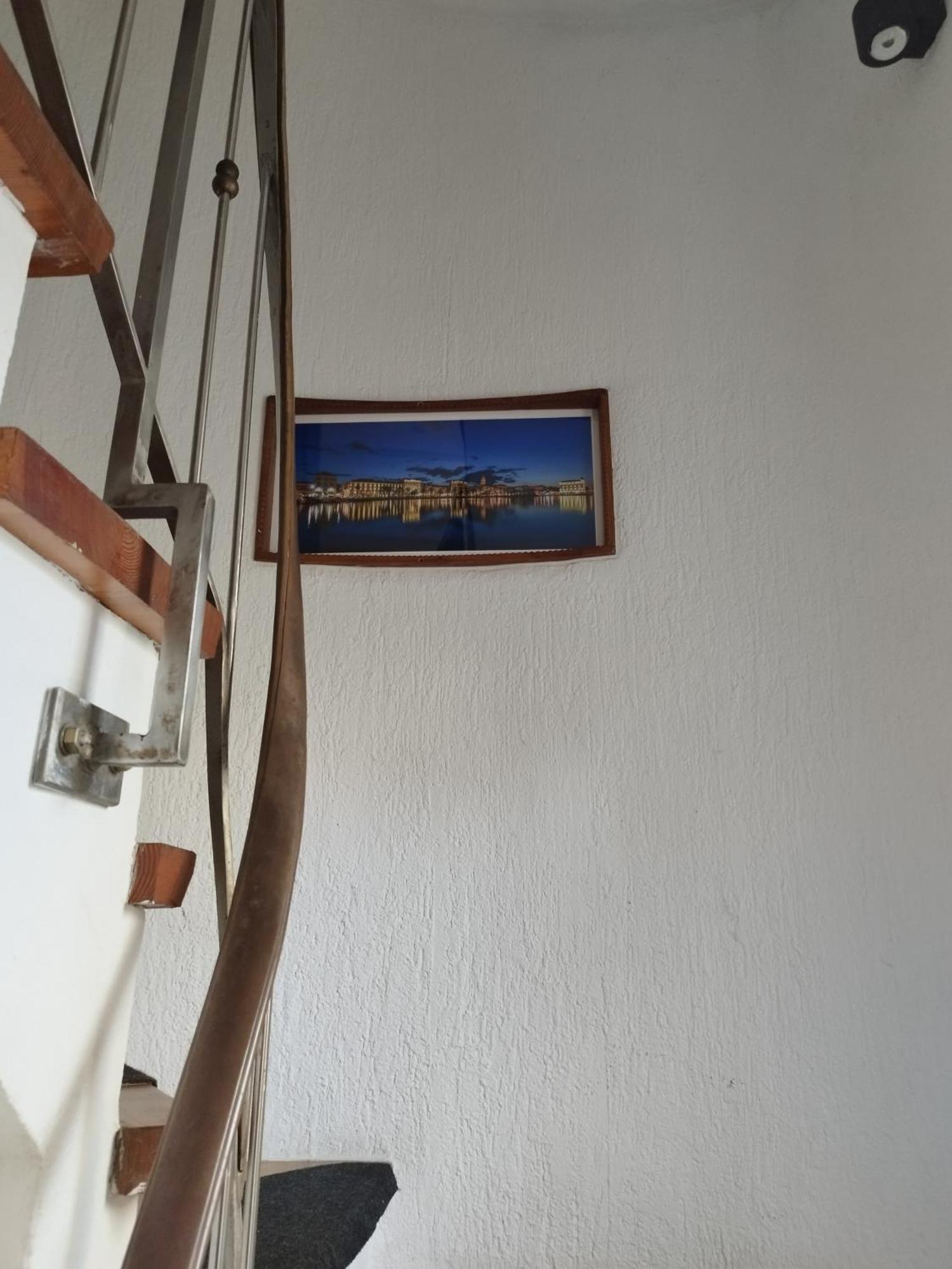 Casa de hóspedes Lion