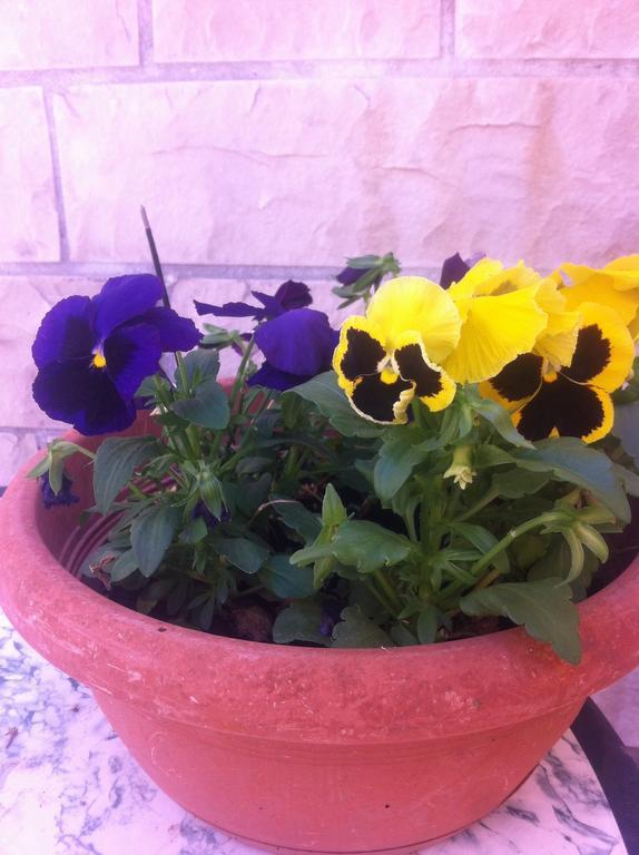 Appartement Old Town *