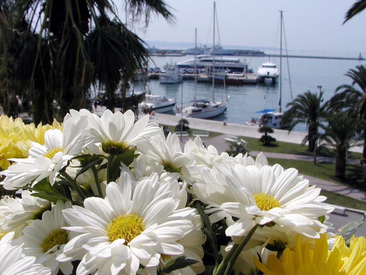Riva Palace 4*