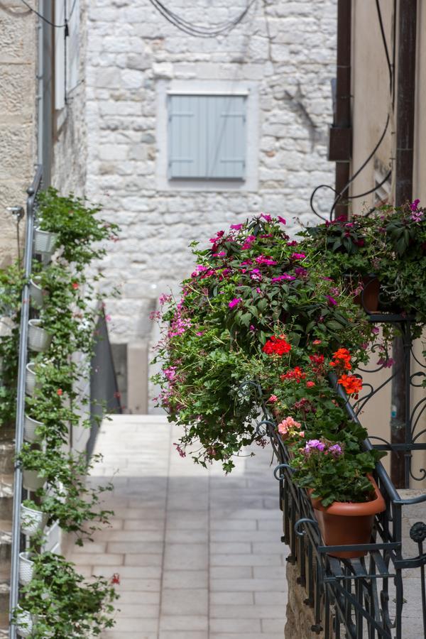 Guest house Riva Palace