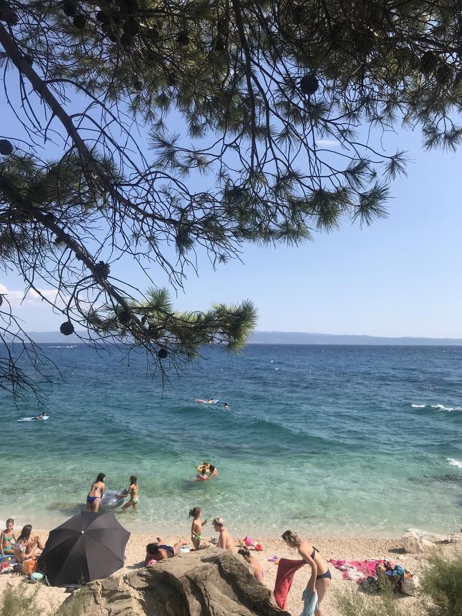 Taras * Split
