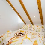 Fantattic Apartments Split Old Town
