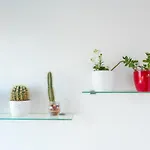 Adriatic Summer Apartment
