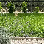 Apartman David 73