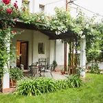 Studio Eden