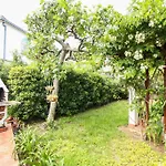 Studio Eden