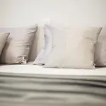 Apartment Males