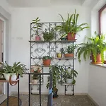 Apartment Marijeta