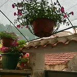 Radun
