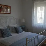 Luxury Apartment Delisan