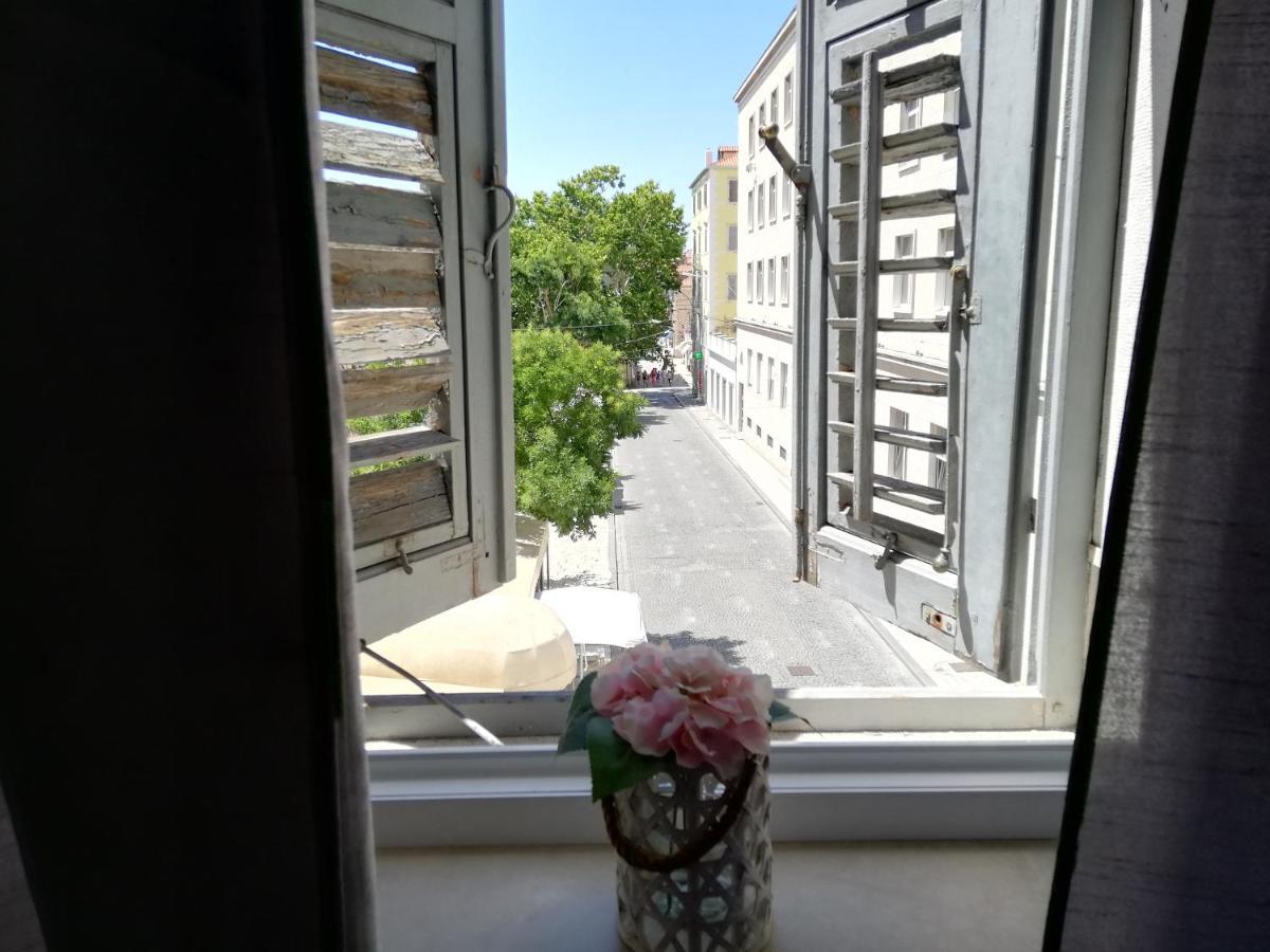 Optimist Split/city Center Apartman