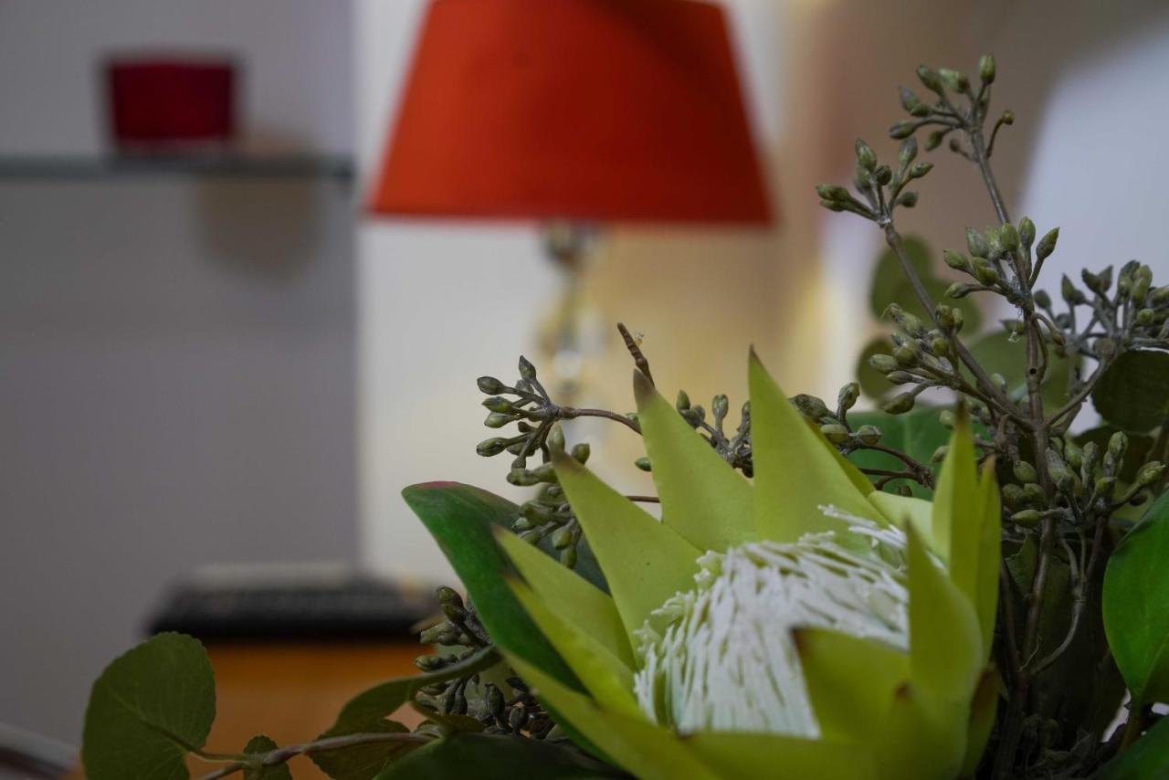 Boutique Guest Zephyrus Guest house Split