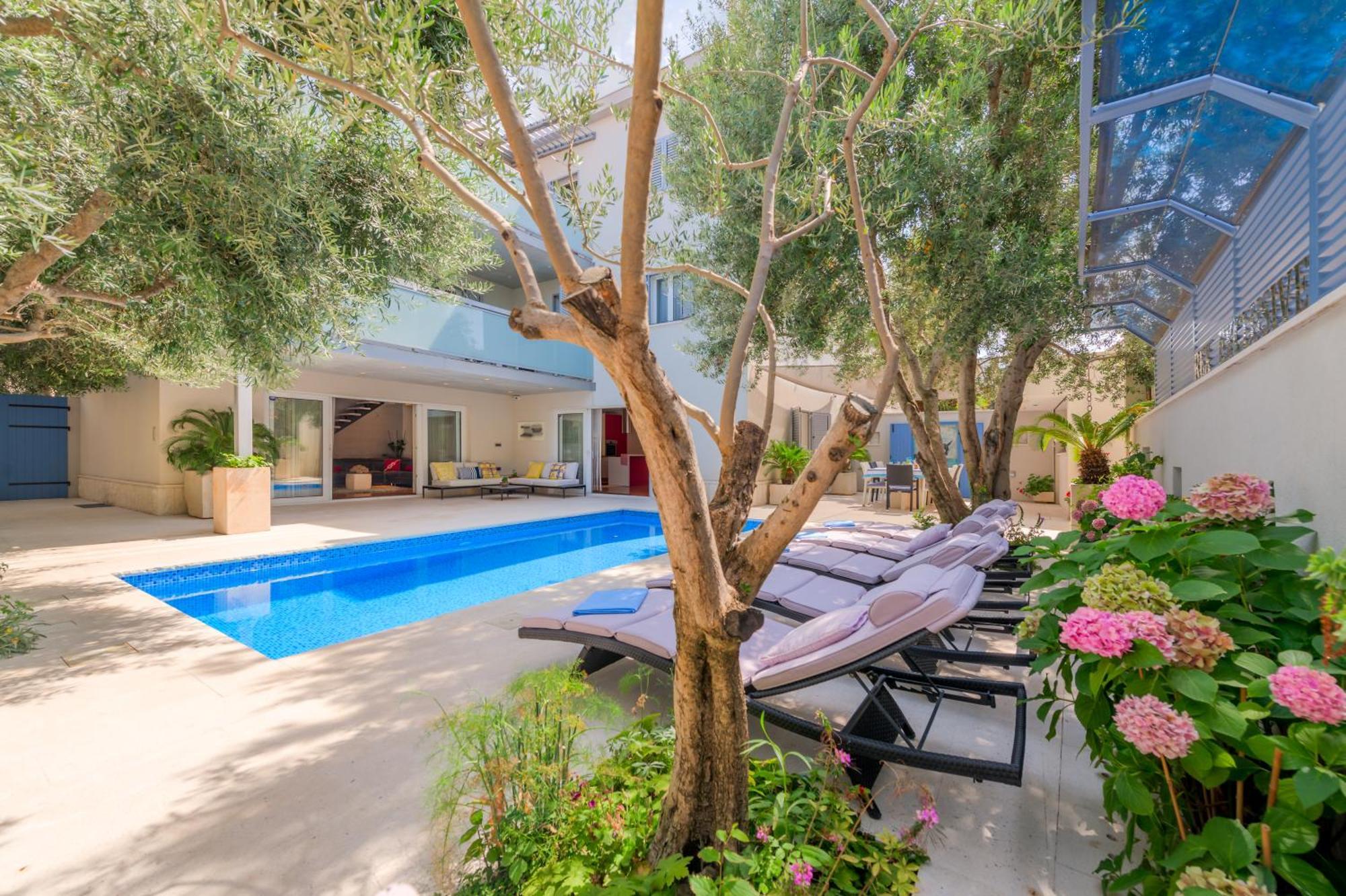 Rex Exclusive Apartment Split