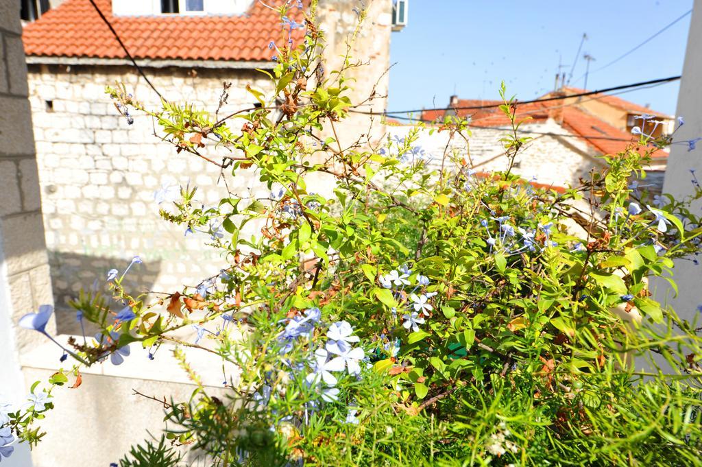 Apartman Branka Split
