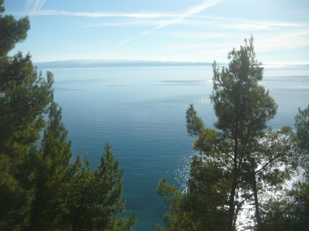 Appartement Centar Manus