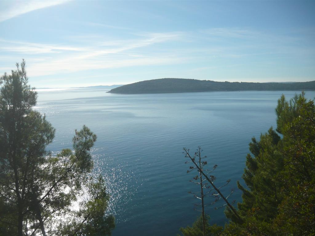 Centar Manus Split