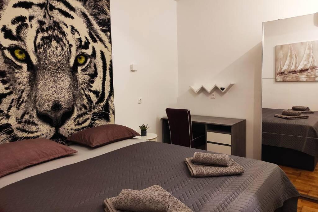 Apartment Spacious Near Center And The Split