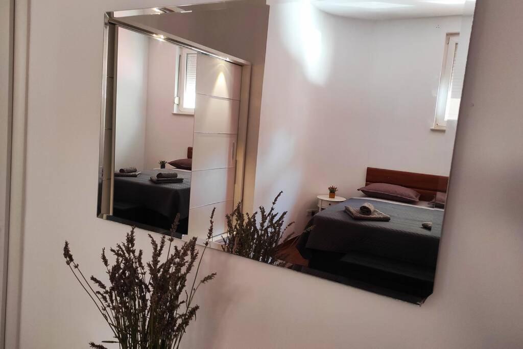 Spacious Near Center And The Apartment Split