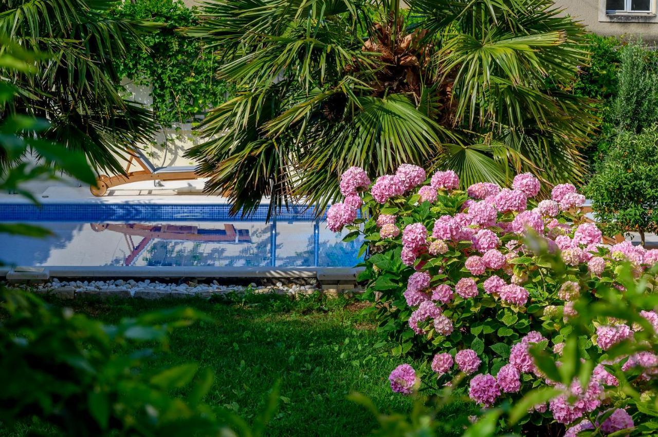 Casa de hóspedes Palace Schoen Milesi - Esense Of Prestige - Private Pool - Free Parking - Old Money Style Luxury - Walking Distance To The Old Town, The And Amenities - Buralux 4*