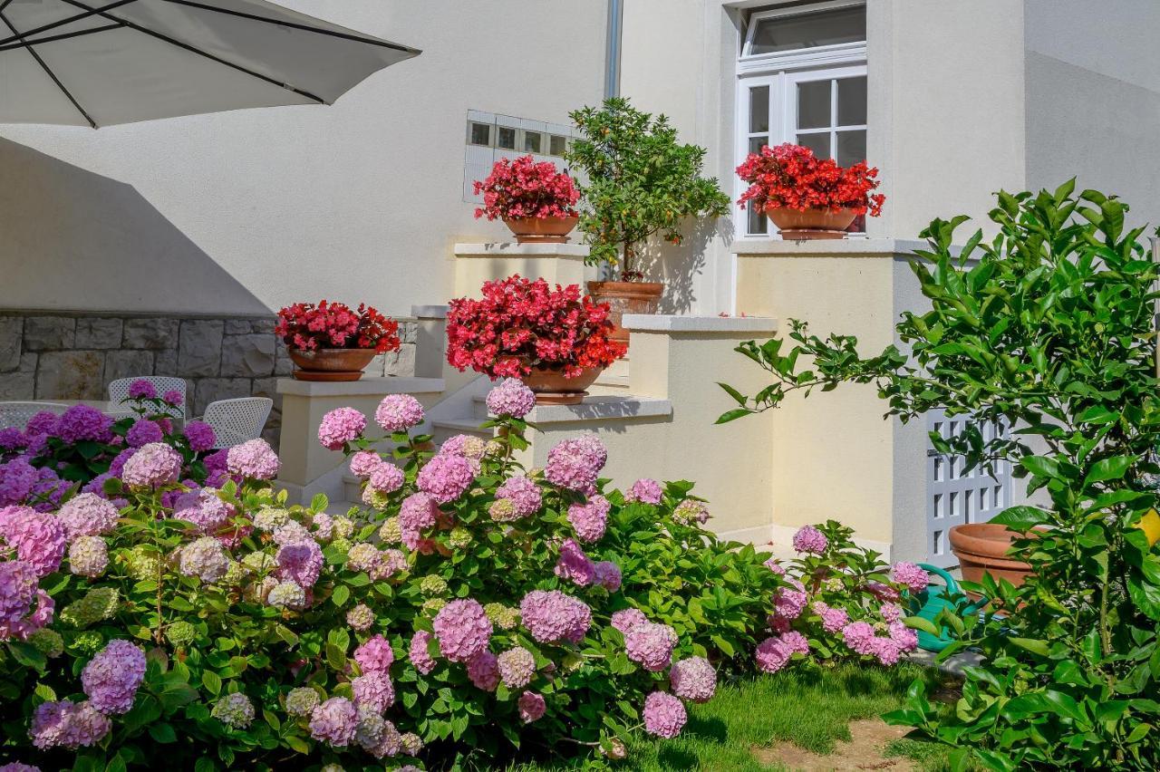 Palace Schoen Milesi - Esense Of Prestige - Private Pool - Free Parking - Old Money Style Luxury - Walking Distance To The Old Town, The And Amenities - Buralux Casa de hóspedes Split
