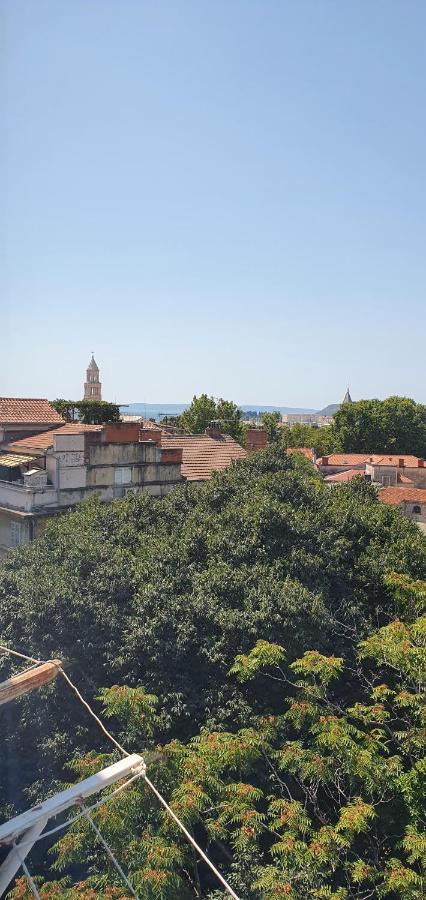 Live In Split
