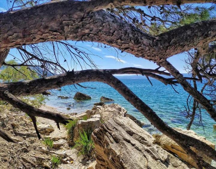 Skejic Apartamento Split