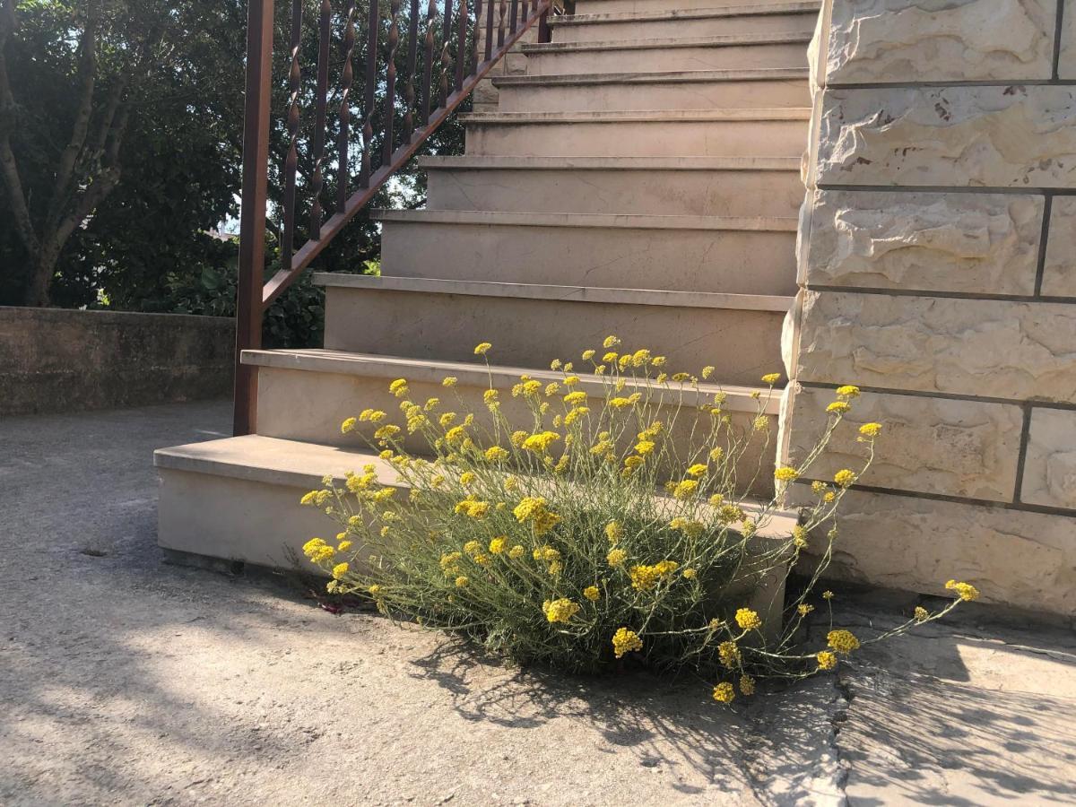 Apartment Garden *