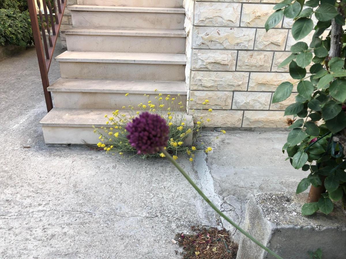 Apartment Garden