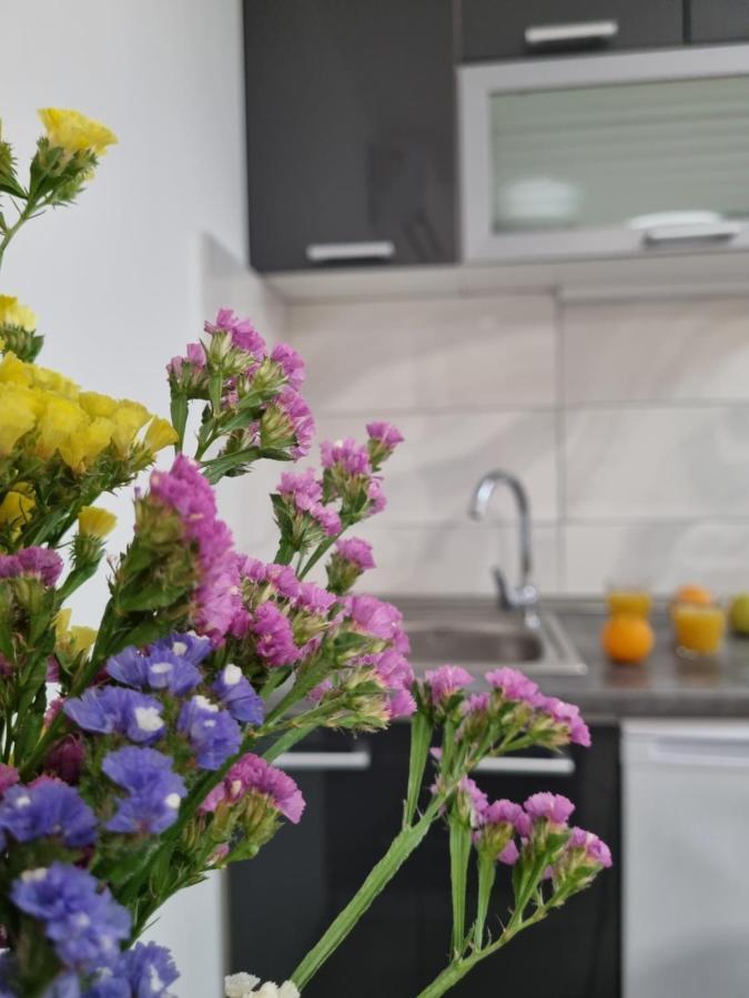 Appartement Rosalie *