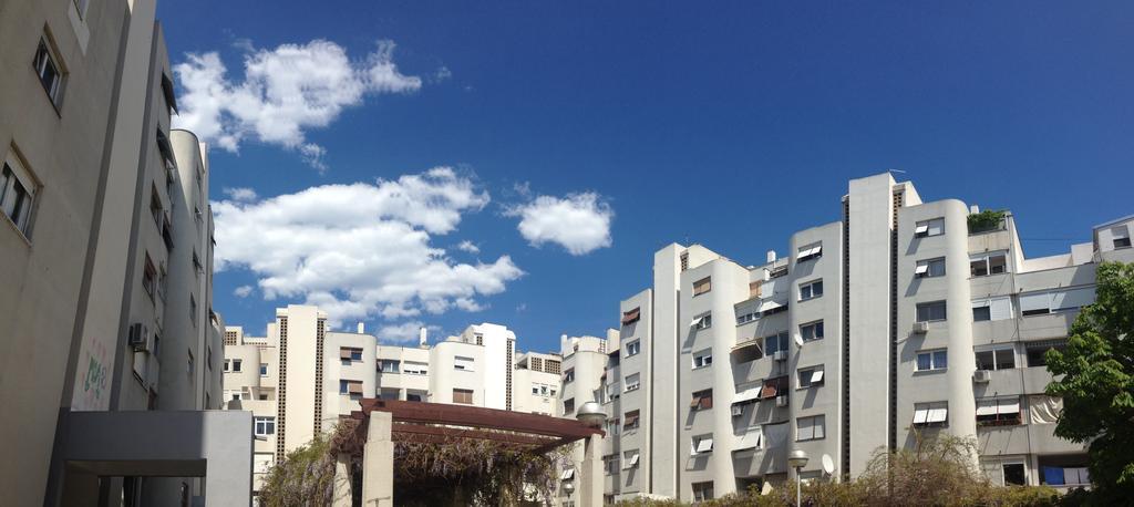 Magnolia Apartment