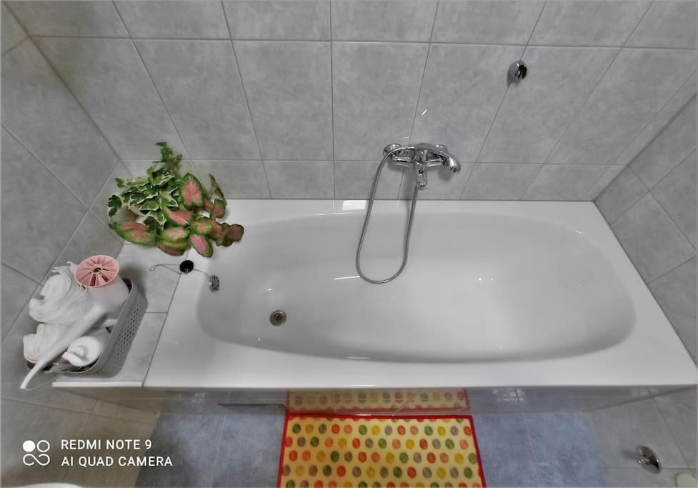 Antonio Apartment *