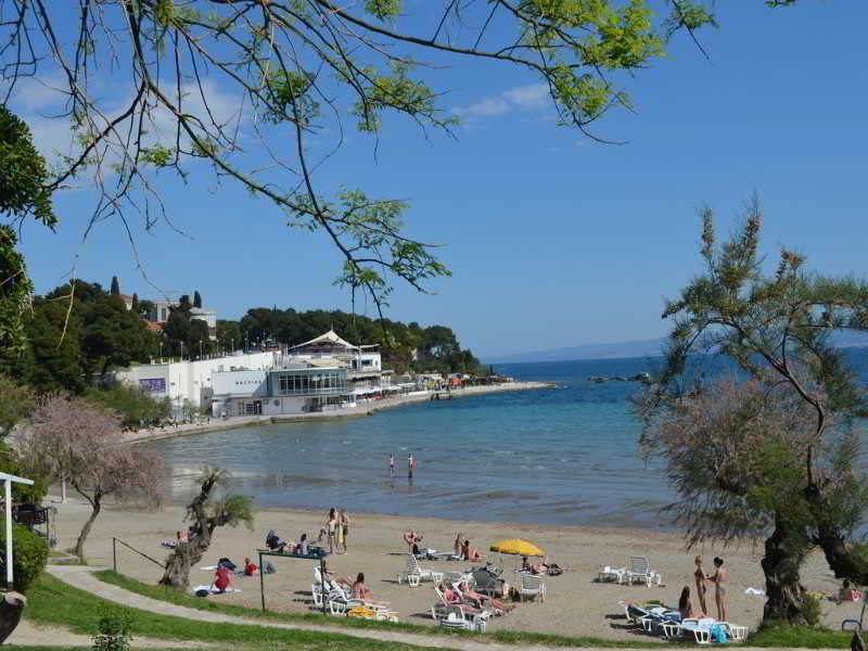 Ivo 3*