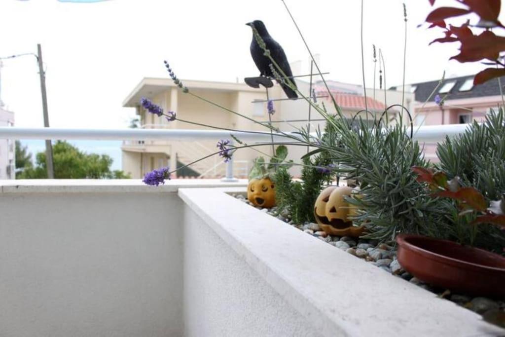 Maia's Znjan Apartamento *