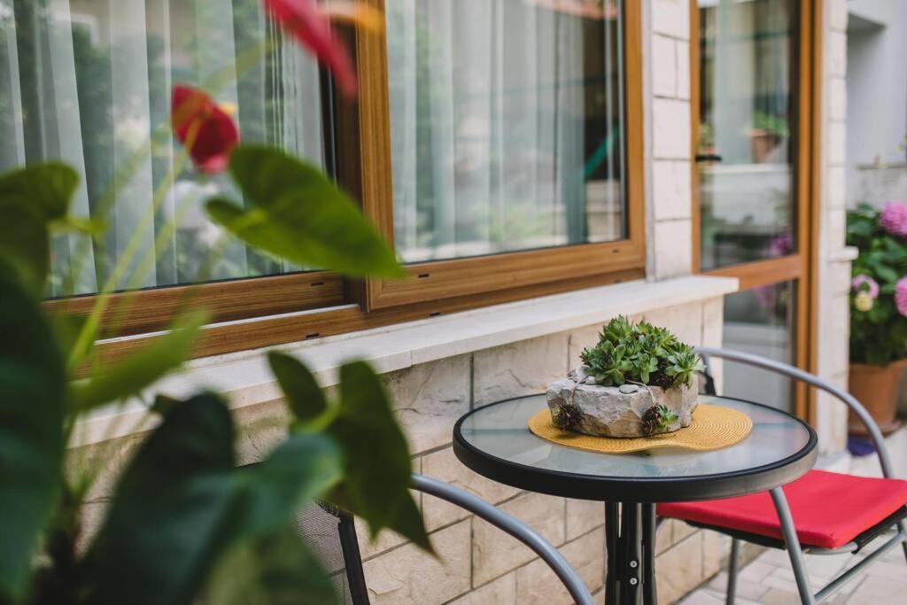 Marjan Hill 3-br Apt,5 Guests Private Garden Near Apartment *