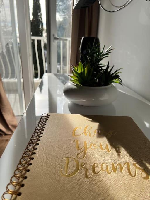 Luxury Dreamview