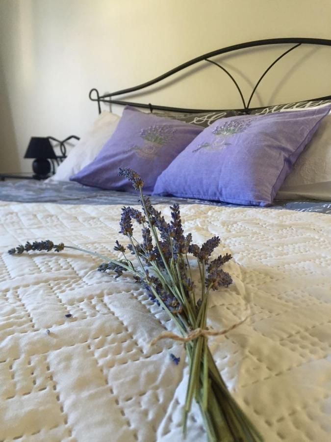 Apartman Triumph