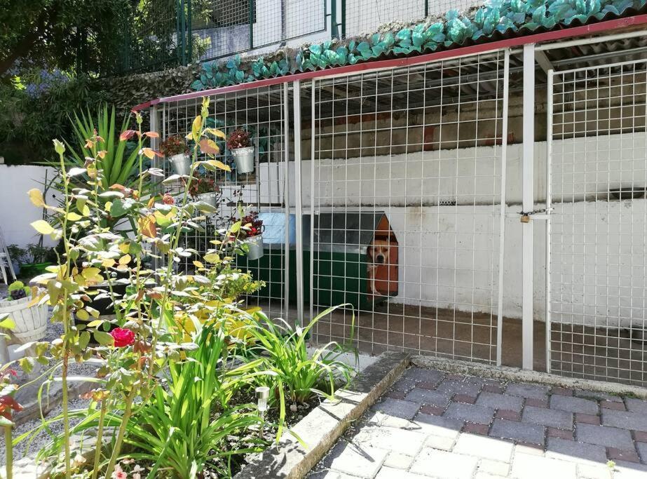 Apartment Barney With Garden&terrace *