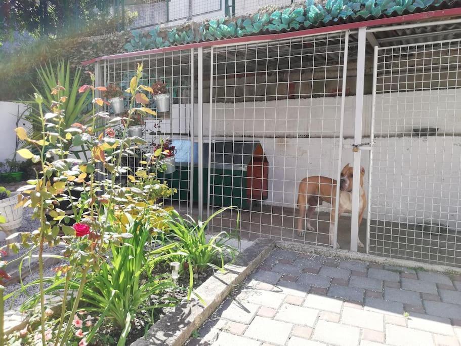Apartment Barney With Garden&terrace Split