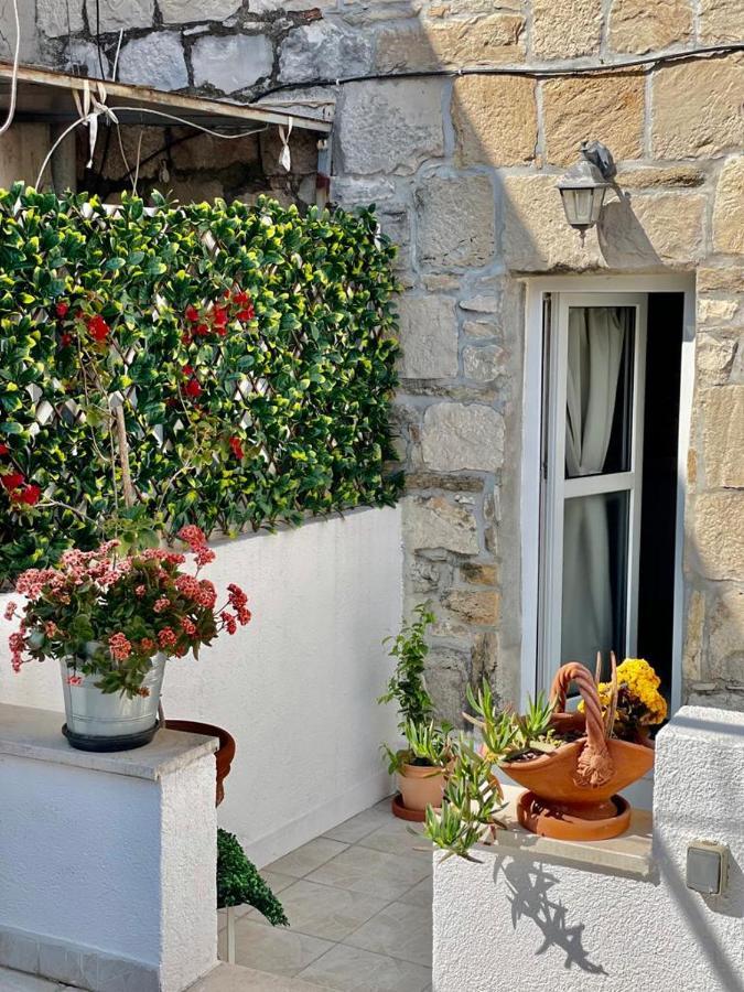 Apartman True Colors