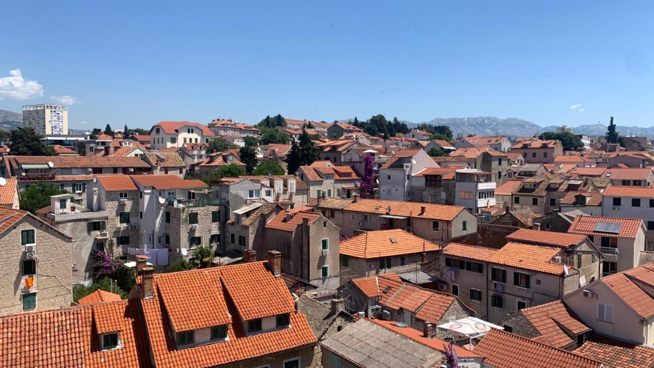 Trpimira Street *