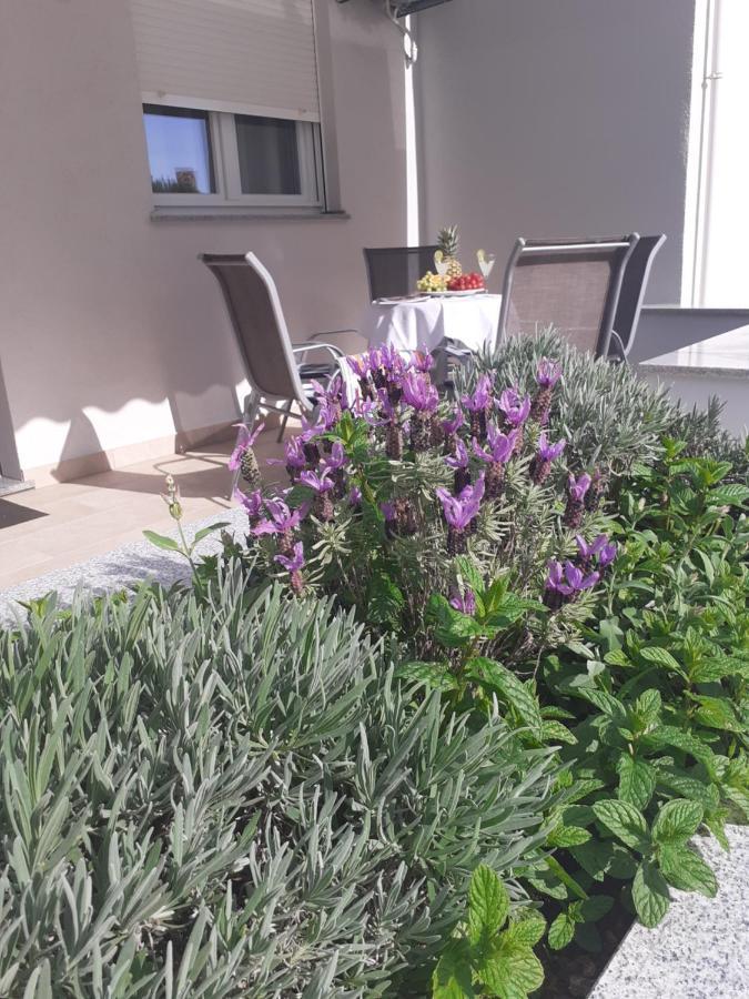 Znjan 50m ----seasun&relax---- Location * Split