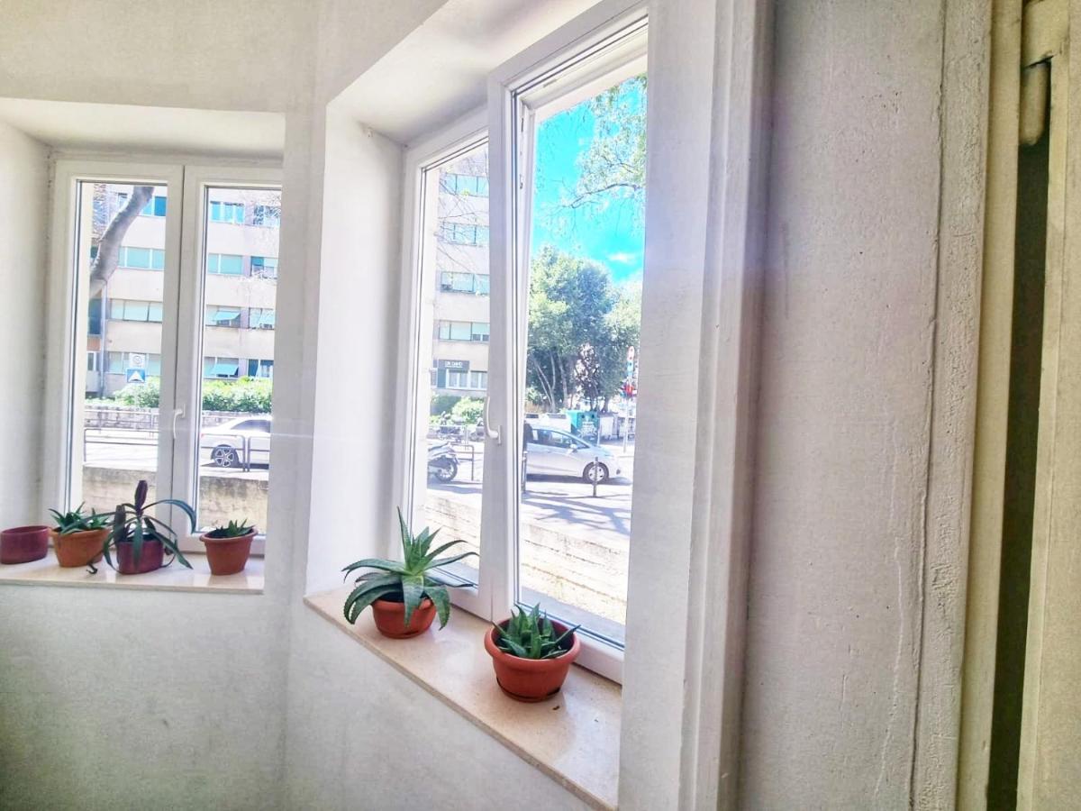 Dalmatian In The Center Apartment Split