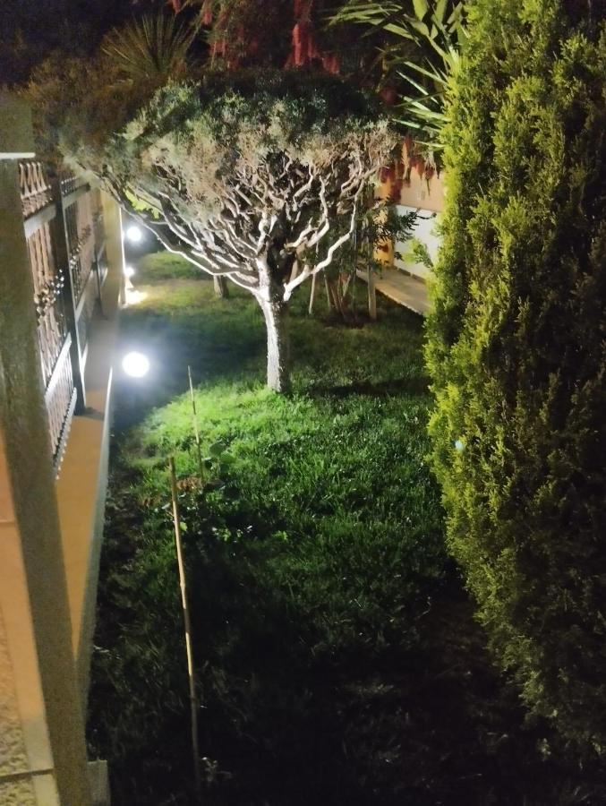 Skejic Apartamento
