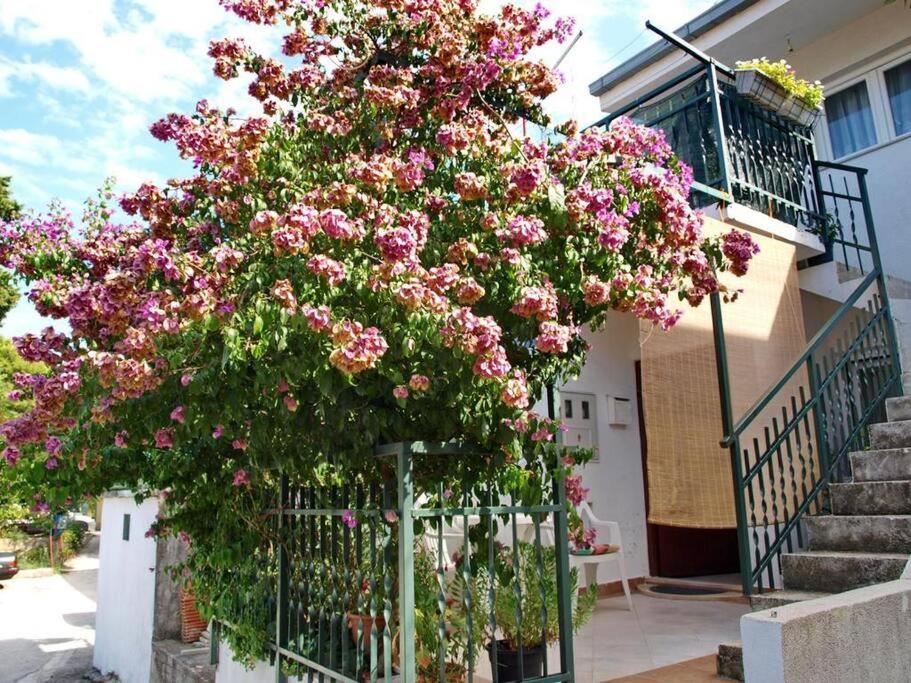 Marjan Park, Peaceful Family Place, Free Parking, 2 Minute From Beach Apartment Split
