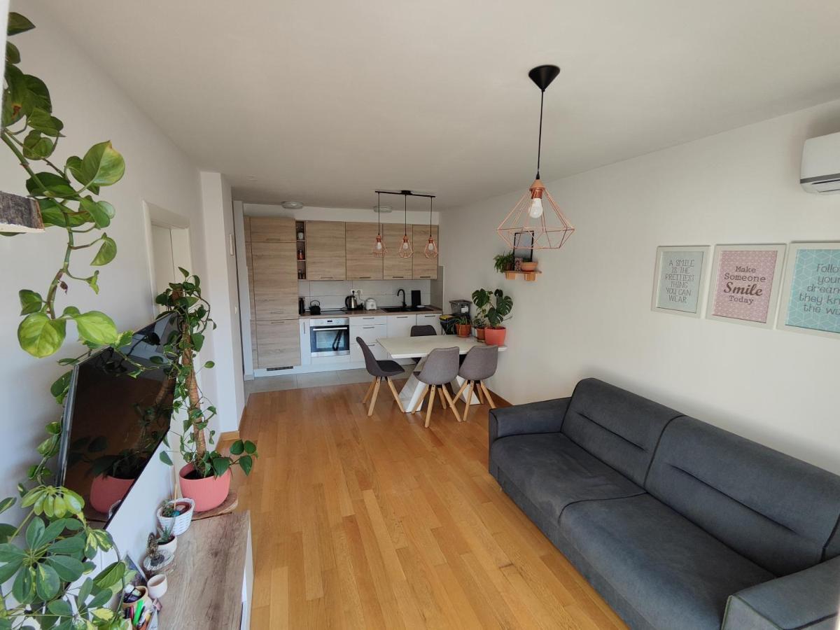 Lucy Apartment
