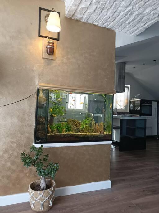 Apartment Penthouse Bacvice