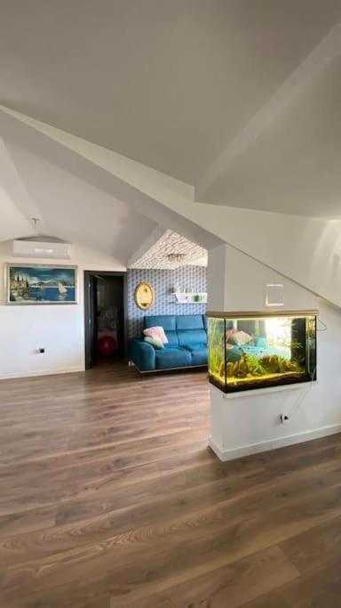 Penthouse Bacvice